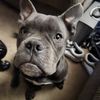 Sam
