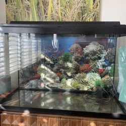 30 Gallon Fish Tank
