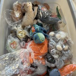 Box Of Beanie Babies 