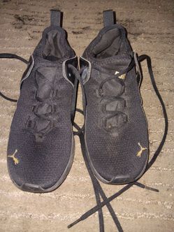 Puma