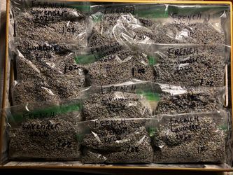 1oz Lavender bud bags