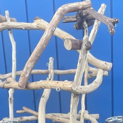 Macaw / Large Parrot Perch Tree … Hard Durable Ribbon Wood 🪵.,, Lasts For Years … Lots Of Macaw Love ❤️ 