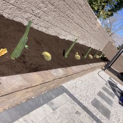 Soil For Plants.. Landscaping And More 