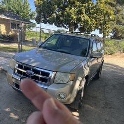 2010 Ford Escape