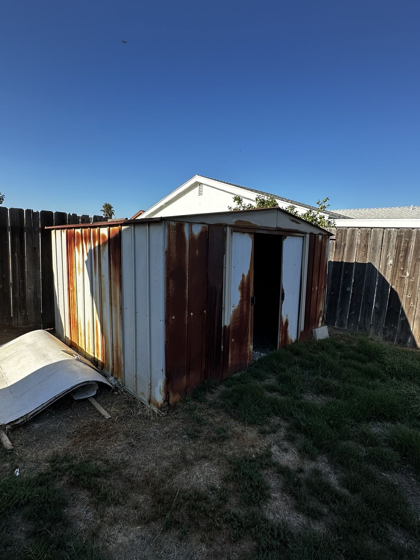 Metal Shed