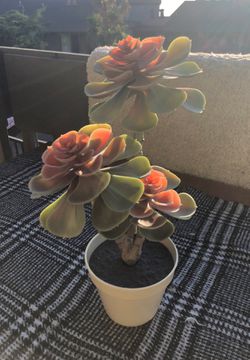 Fake succulent plant