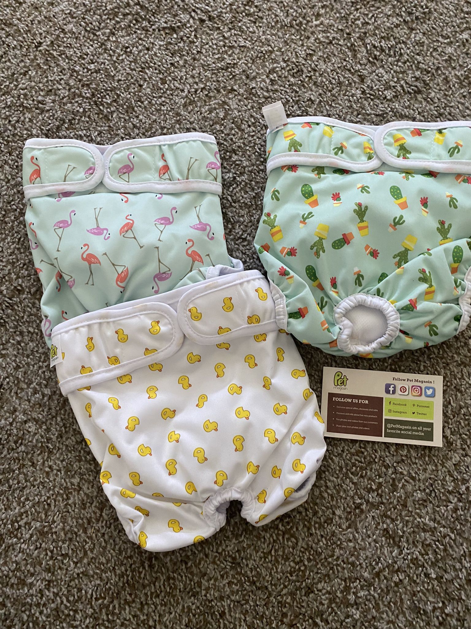 NWOT Large Dog Diapers