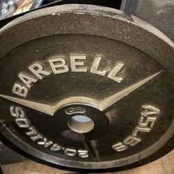 45lb Barbell Weights/Plates 