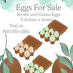 Fresh eggs for sale 