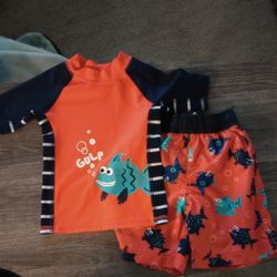 Boys 2T Swimsuit Set