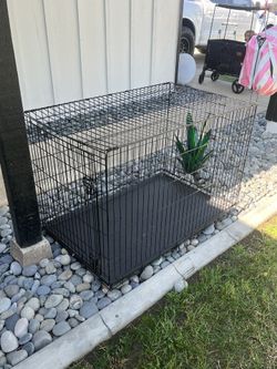 Large Wire Kennel
