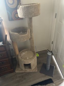 Cat poles2