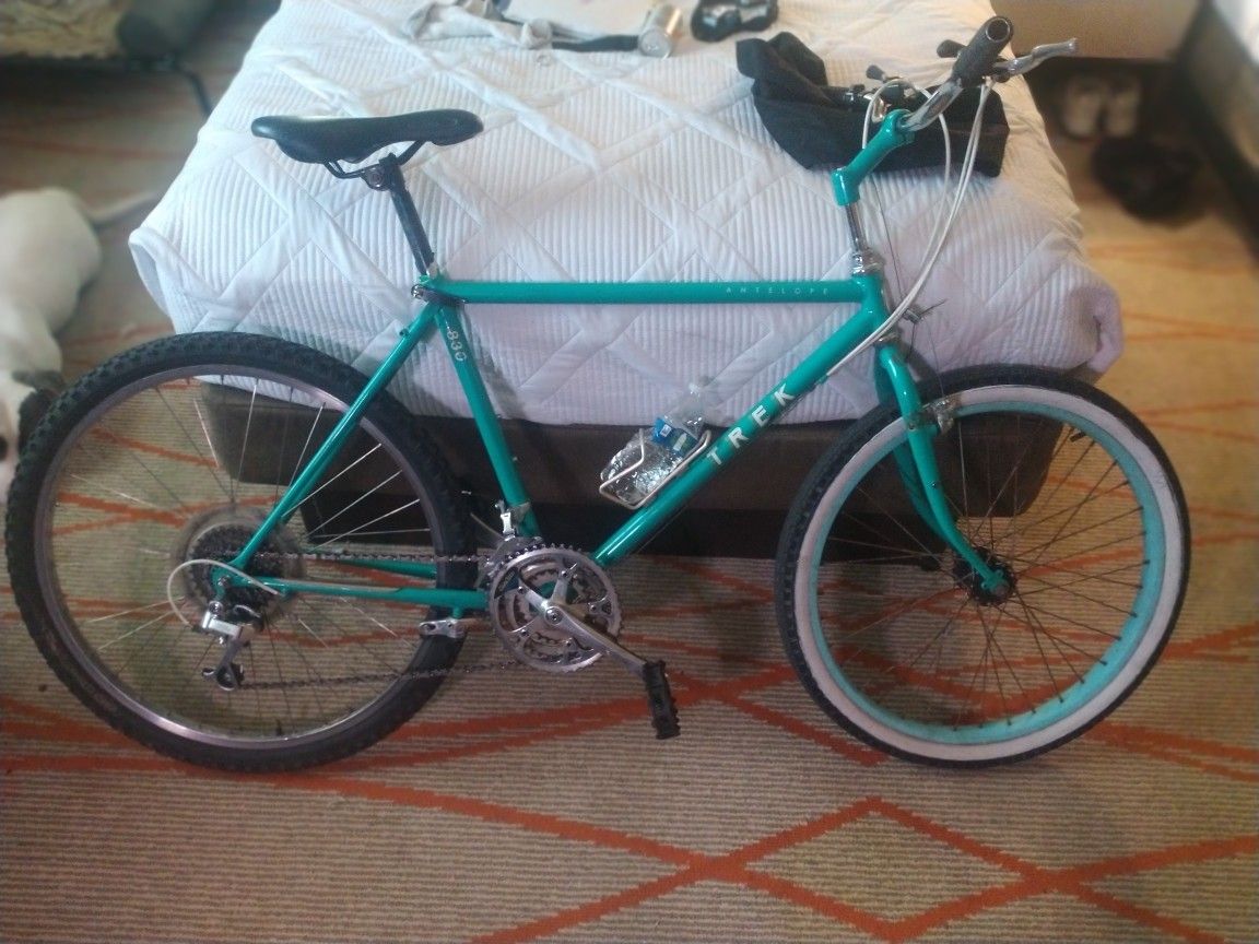Great Summer Rider