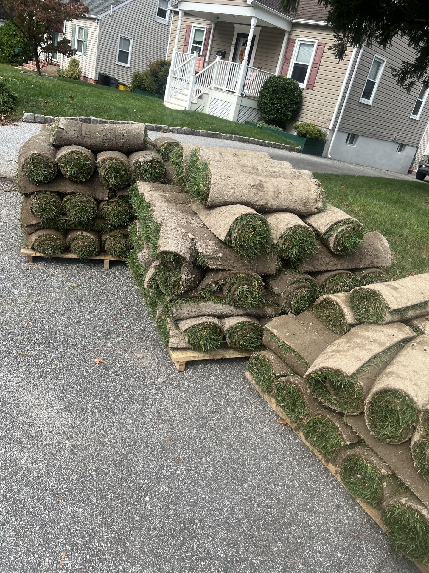 Fresh Sod Cut Every Morning 