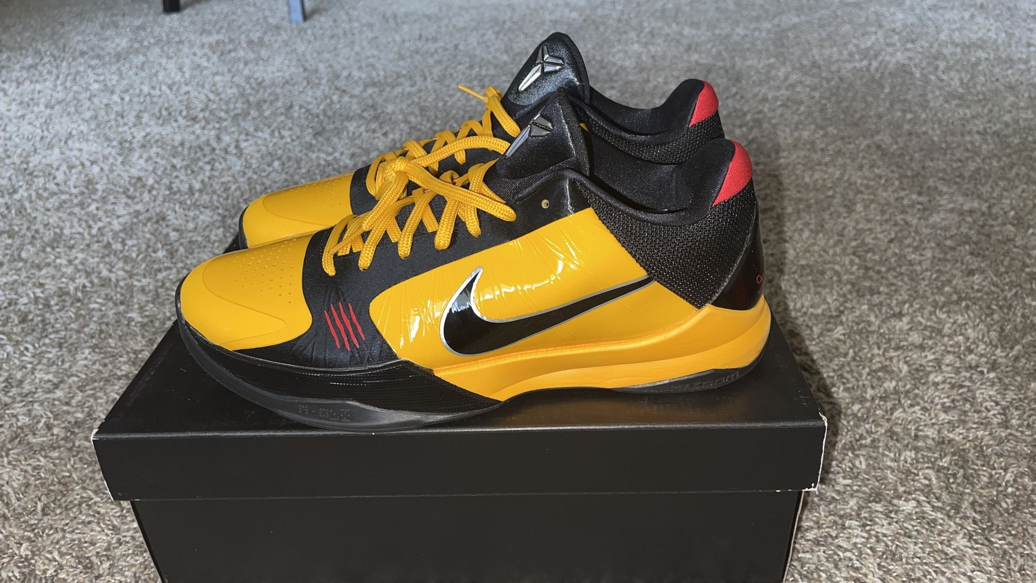 Nike Kobe 5 Protro Bruce Lee 
