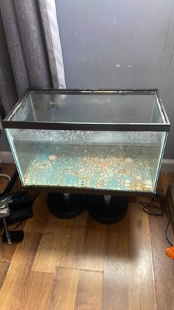 Fish tank