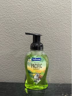 Softsoap foaming hand soap