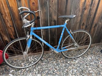 The Schwinn Madison single-speed/fixed-gear bike.