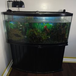 75 Gal Bow Front Fish Tank And Stand