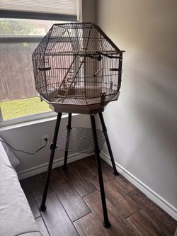 Bird Cage