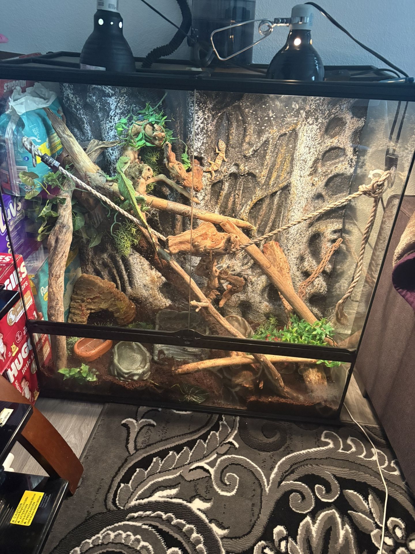 Black Glass Cage L -36” W - 18”