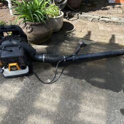 Poulan Pro Leaf Blower — READ AD