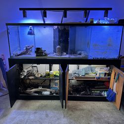 Fish/Iguana Tank