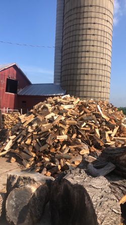 Firewood