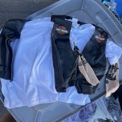 2 Kids Costumes