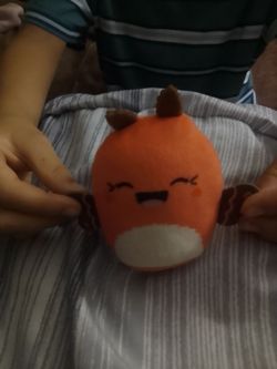 Butterfly squishmelo