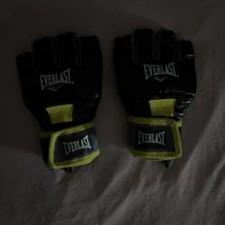 Everlast MMA gloves 