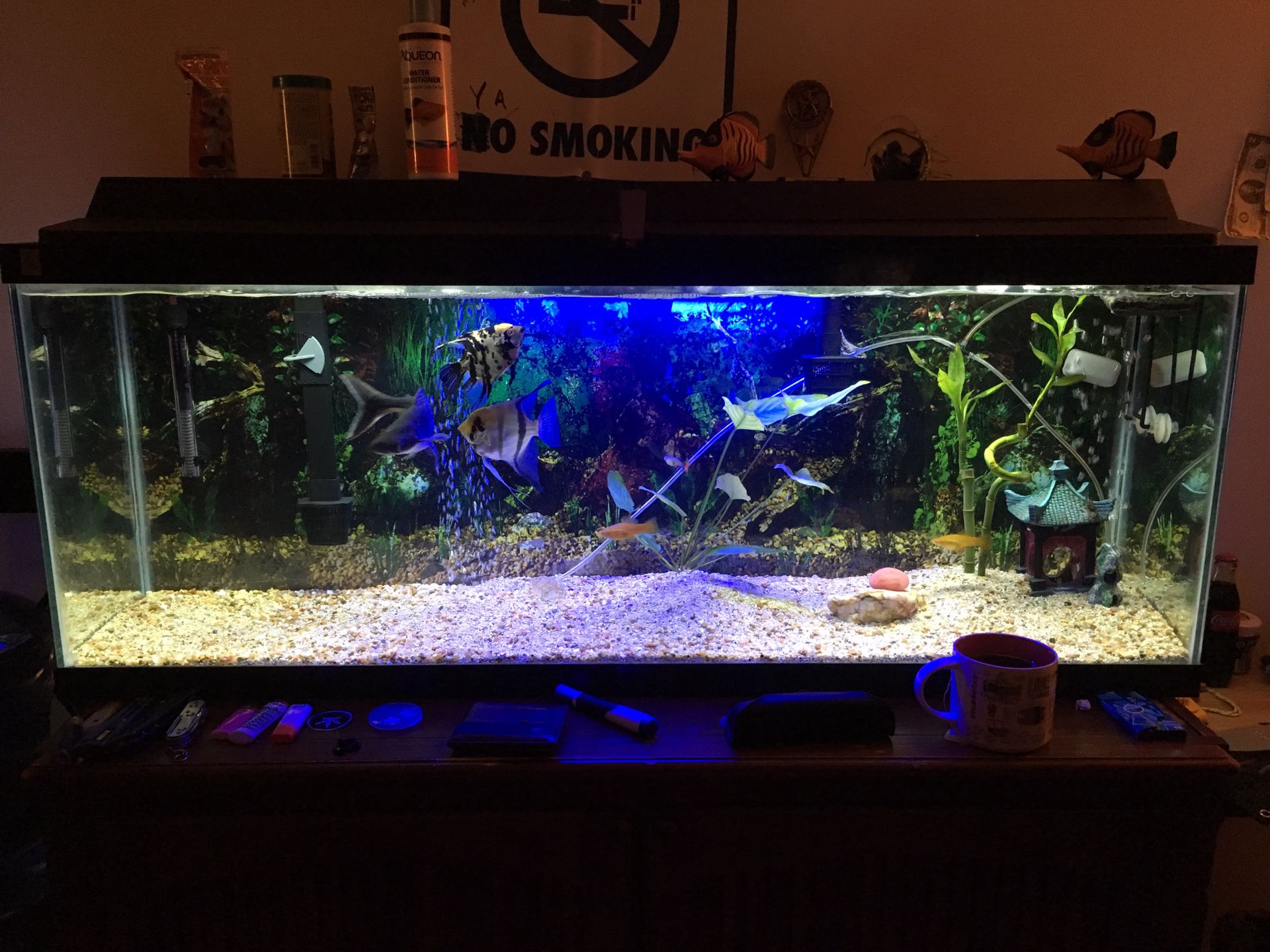 45 gallon fish tank