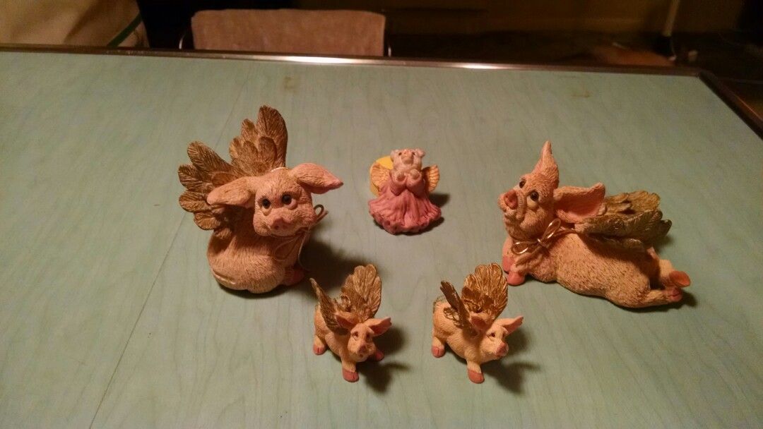 Angel Pigs