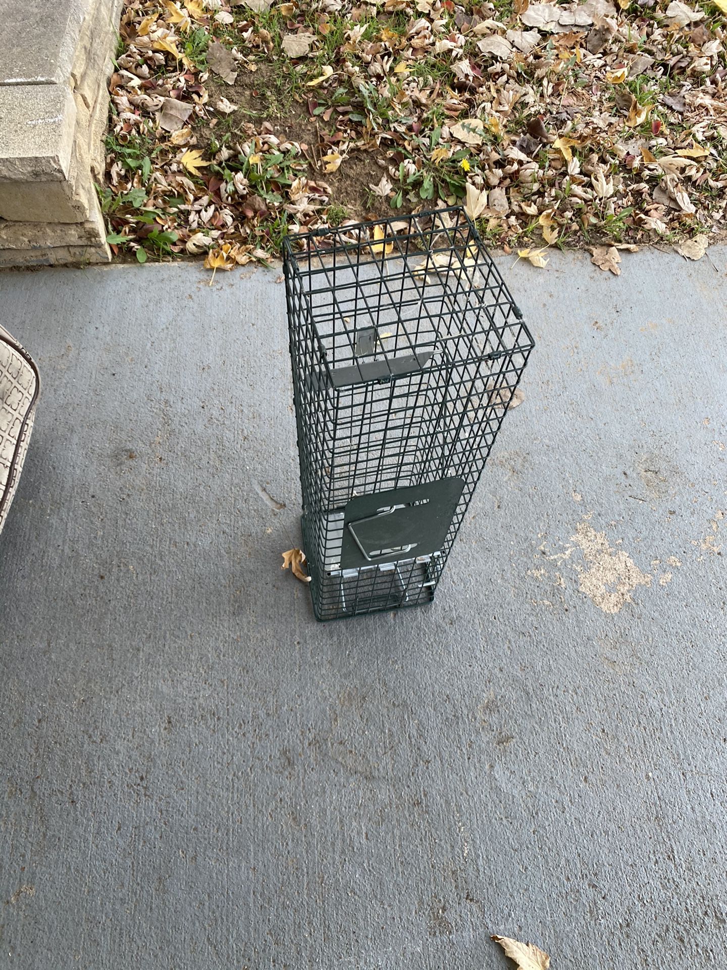 Trap For Rats Etc