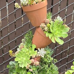 tilted pots 2 avelible 