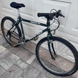 Diamond Back Ascent Lx Mountain Bike 