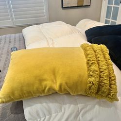 Decorative Pillow 