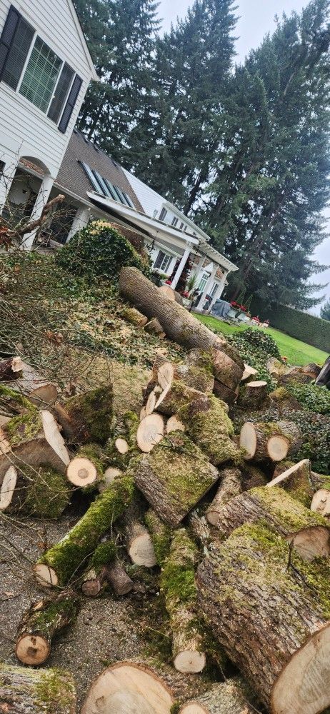 Fresh Oak Firewood rounbs for sale, We can delivery around Vancouver area.
