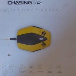 Underwater Drone, Chasing Dory