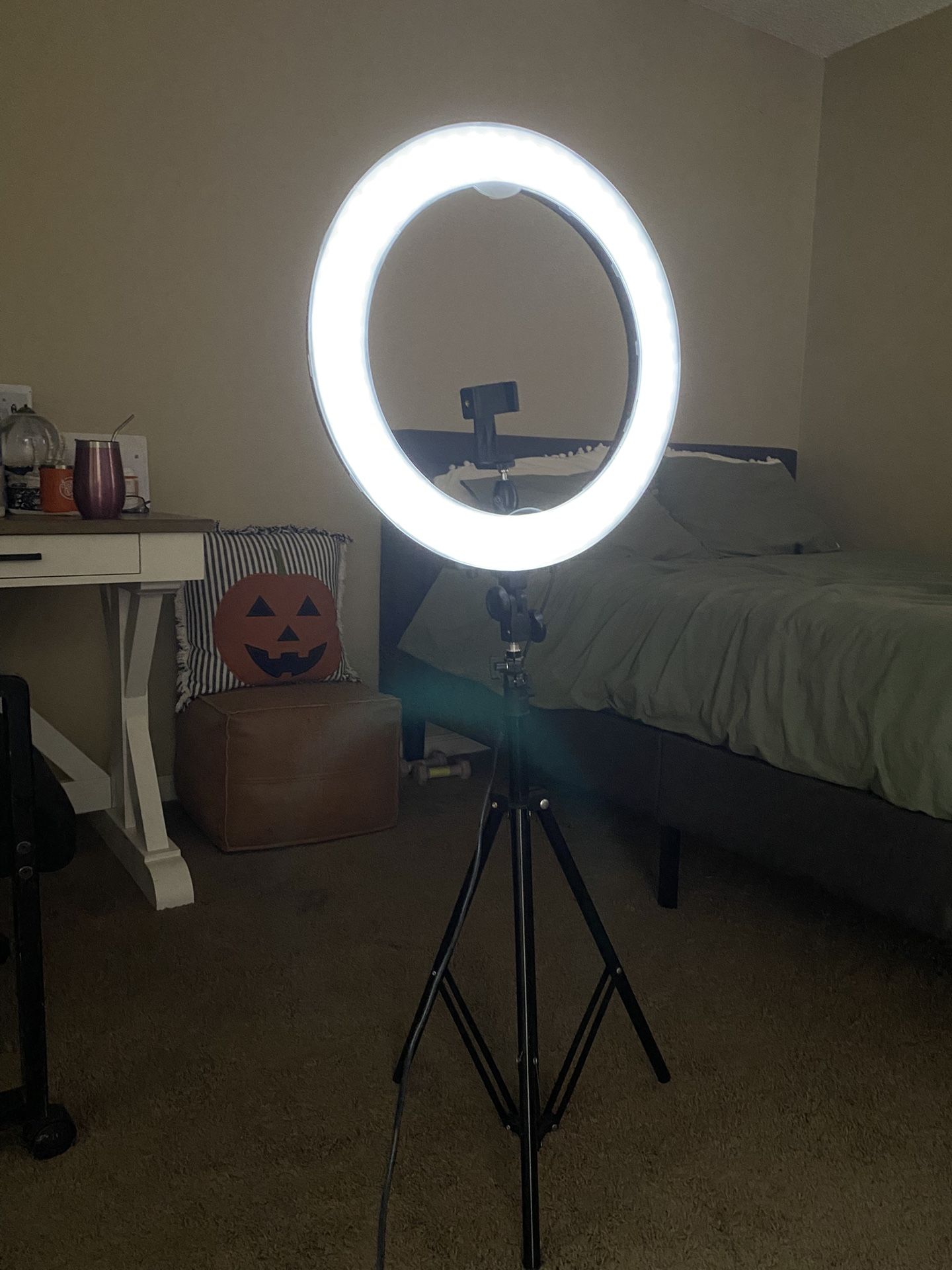 Ring Light