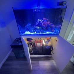 Res Sea Reefer 250 and Accessories. 