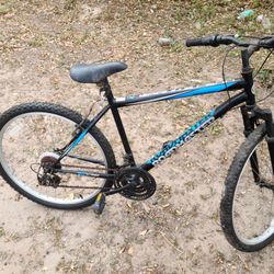 Roadmaster Mountain Bike $75