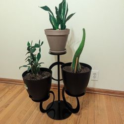 Plant Stand