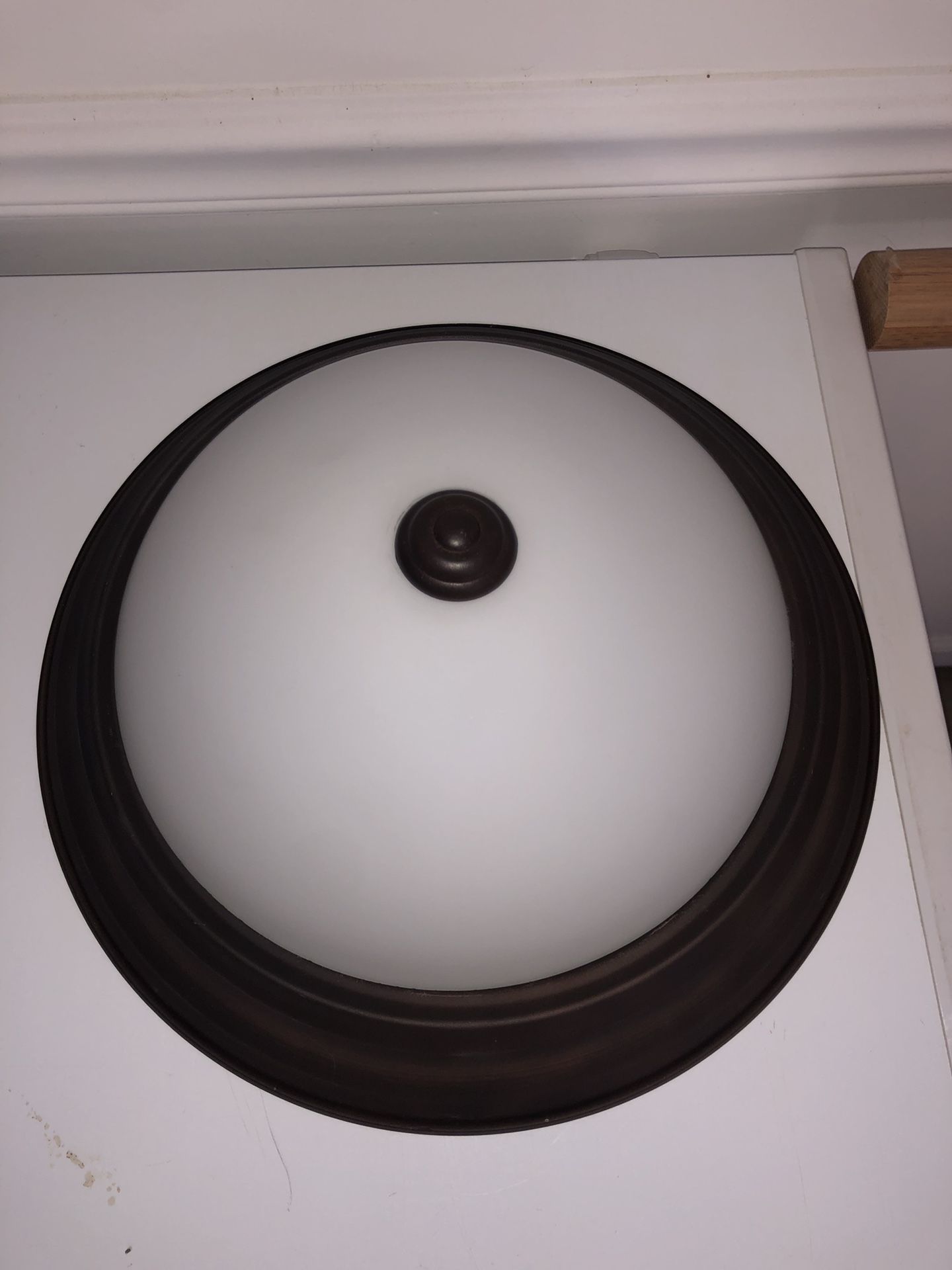 Light Fixture