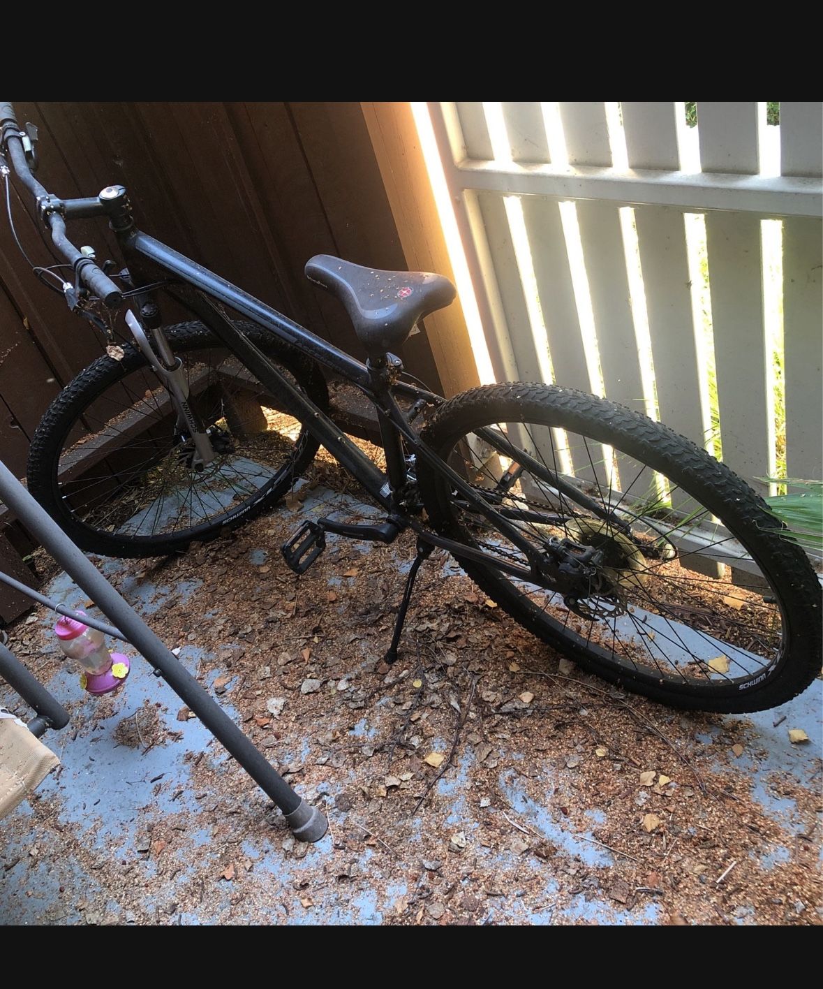 Schwin Bike