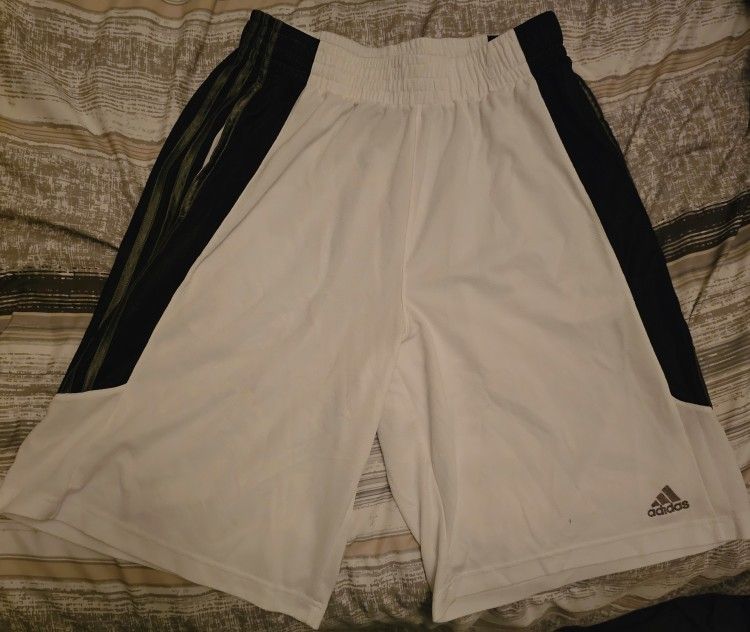Adidas Men's Shorts