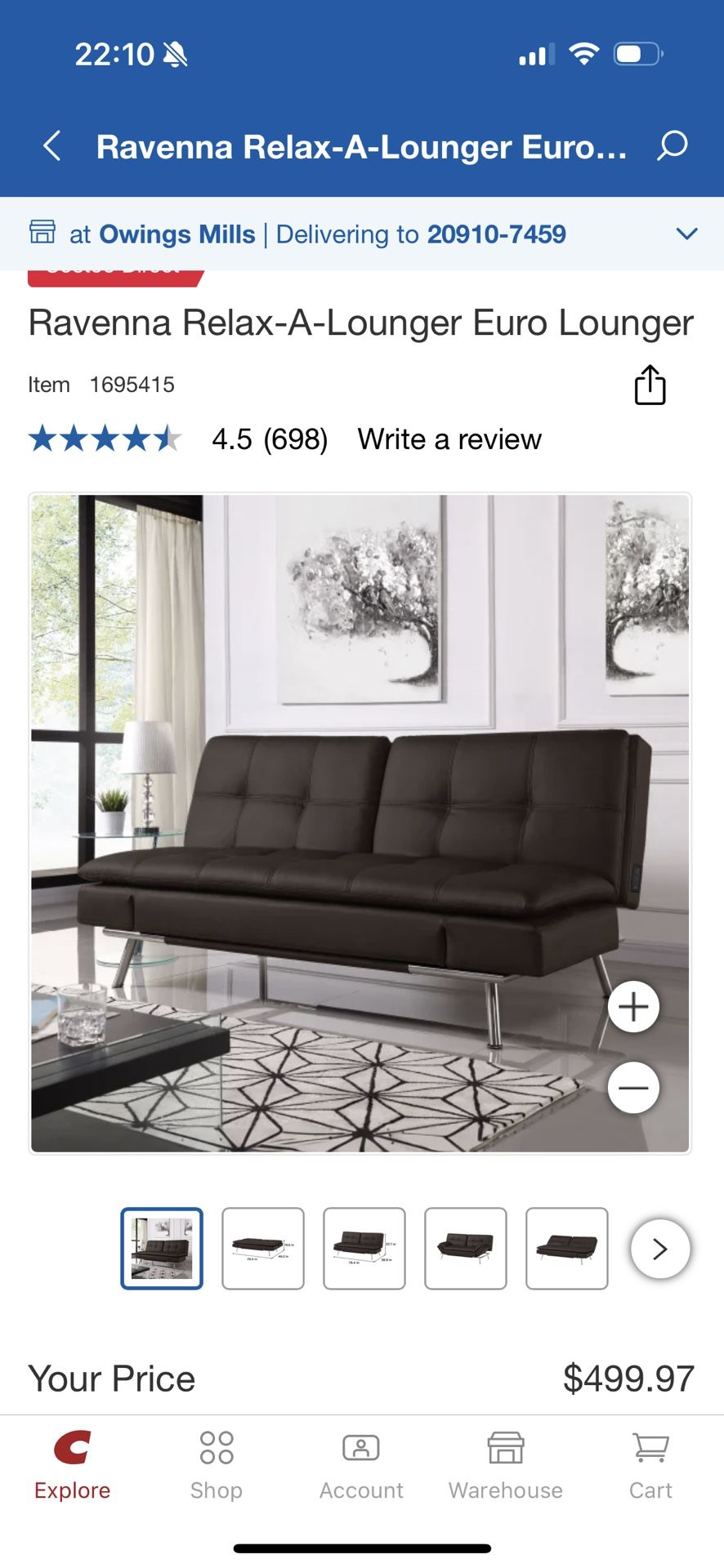 Leather Costco Sleeper Couch