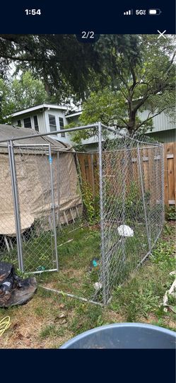 Outside mental dogs cage