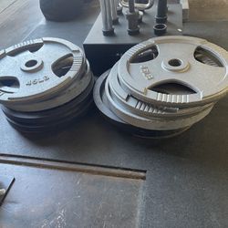 Weights 45lbs Plates