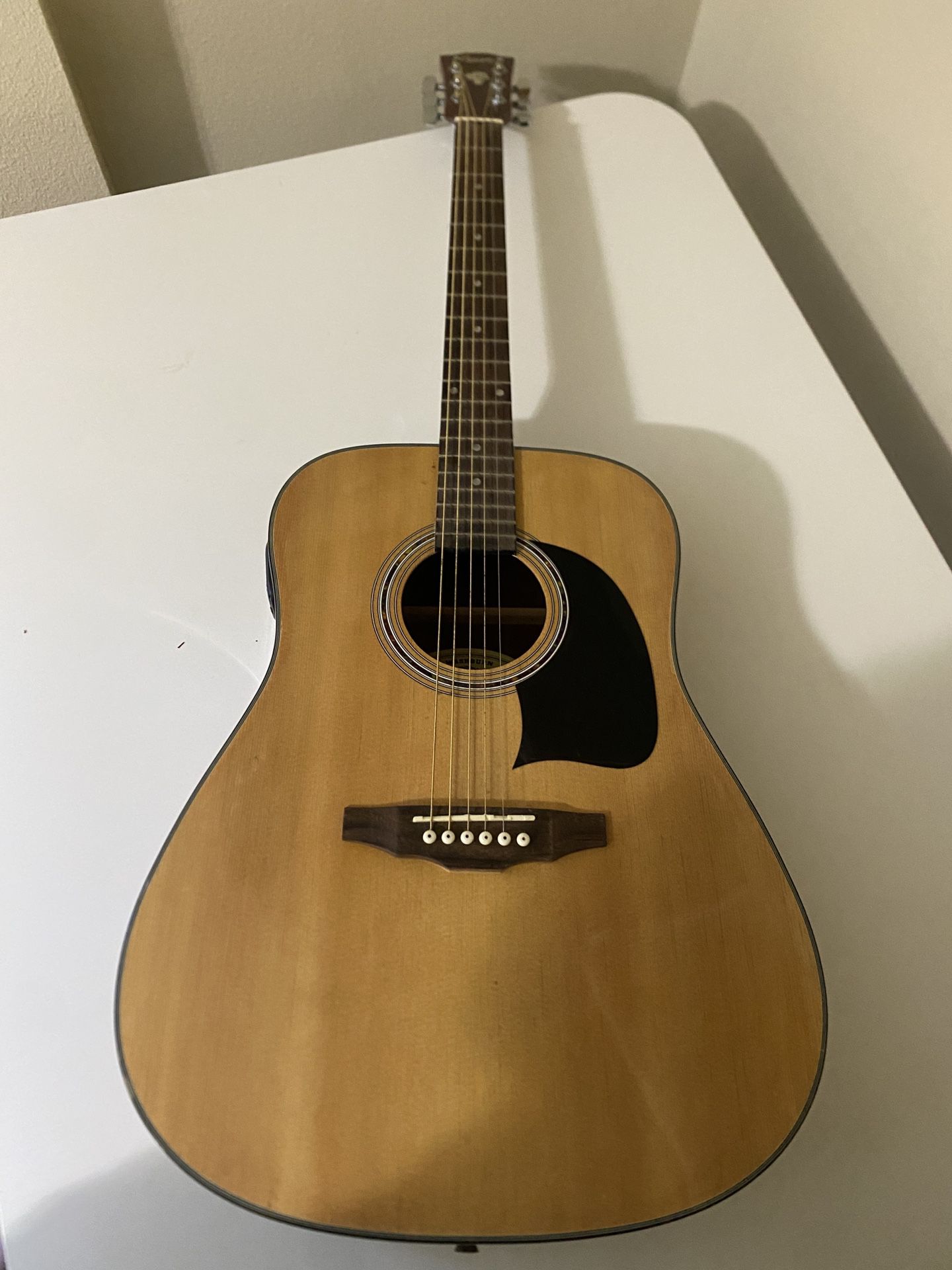 Lyon By Washburn Guitar